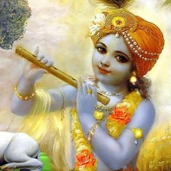 102 - Krishna’s Protection