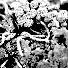 Deep Underground #64