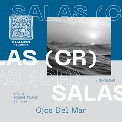 Salas (CR) - Ojos Del Mar (Hoani Teano Remix)