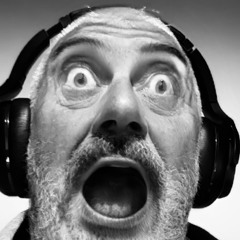 Vintage Vox Trotting