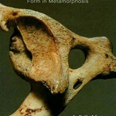 Get [PDF EBOOK EPUB KINDLE] Secrets of the Skeleton: Form in Metamorphosis by  L. F. C. Mees,Ellen B