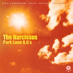 Park Lane O.G's - The Narcissus - HeatWAVs [ 2024 Summer LP ]