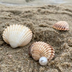 Berlinde's Alltagsperlen 2025