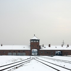 The Nazi Experiment, Vol. 1: The Nazi Racial Worldview