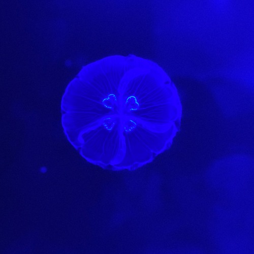 Drowning - ElTinyBoi