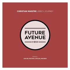 Christian Maestre - Michiciento (Holl3n Remix) [Future Avenue]
