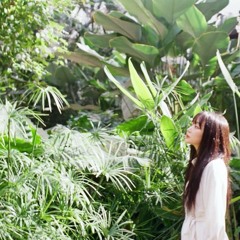 몽혼(夢魂)