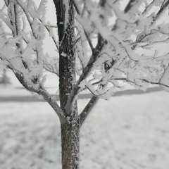 The Snow Outside Makes The World Look Brighter