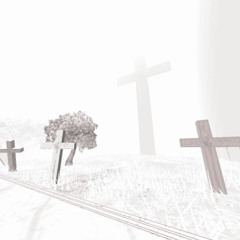 FAREWELL TO MY HOME, MY CITY OF ROT