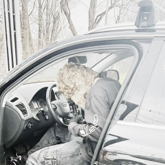 19 (db808 + histarkey)