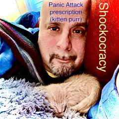 Panic attack prescription (kitten purr)