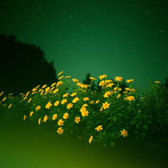 Sol Ritmo - Life