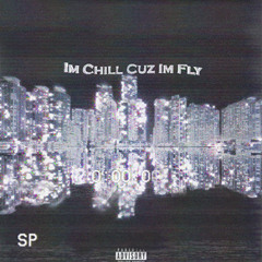 Im chill cuz Im Fly