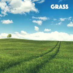 Grass