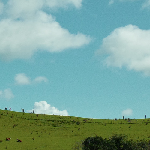 LUUDE X HARRY BEE - FUN IN THE SUN (TESTAMENT REMIX)