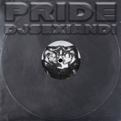 VINYL 4 PRIDE