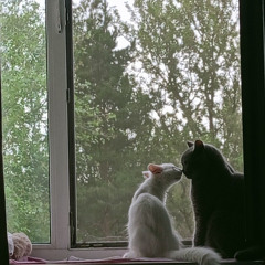 yung griffin - super nintendo (w yung sherrf x temporxry) [p dam sam x cartoon ben]