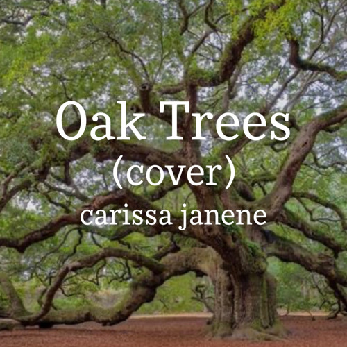 Stream Oak Trees (cover) by carissa janene Listen online for free on