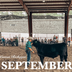 Hello September Nights.