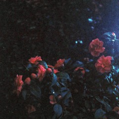 may