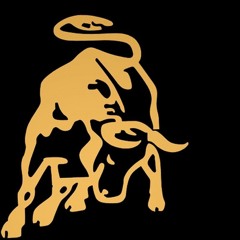 stier (prod. rrackss)