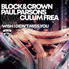 Wish I Didn't Miss You (feat. Culum Frea)