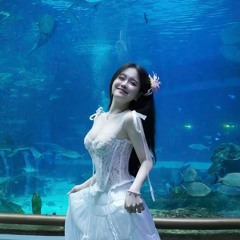 (CĂT) NGUỜI THẬT LÒNG PHÍA SAU ft BÔNG HOA NỞ MUỘN TIPO remix