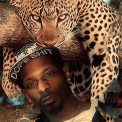 KING FISK - money ambition