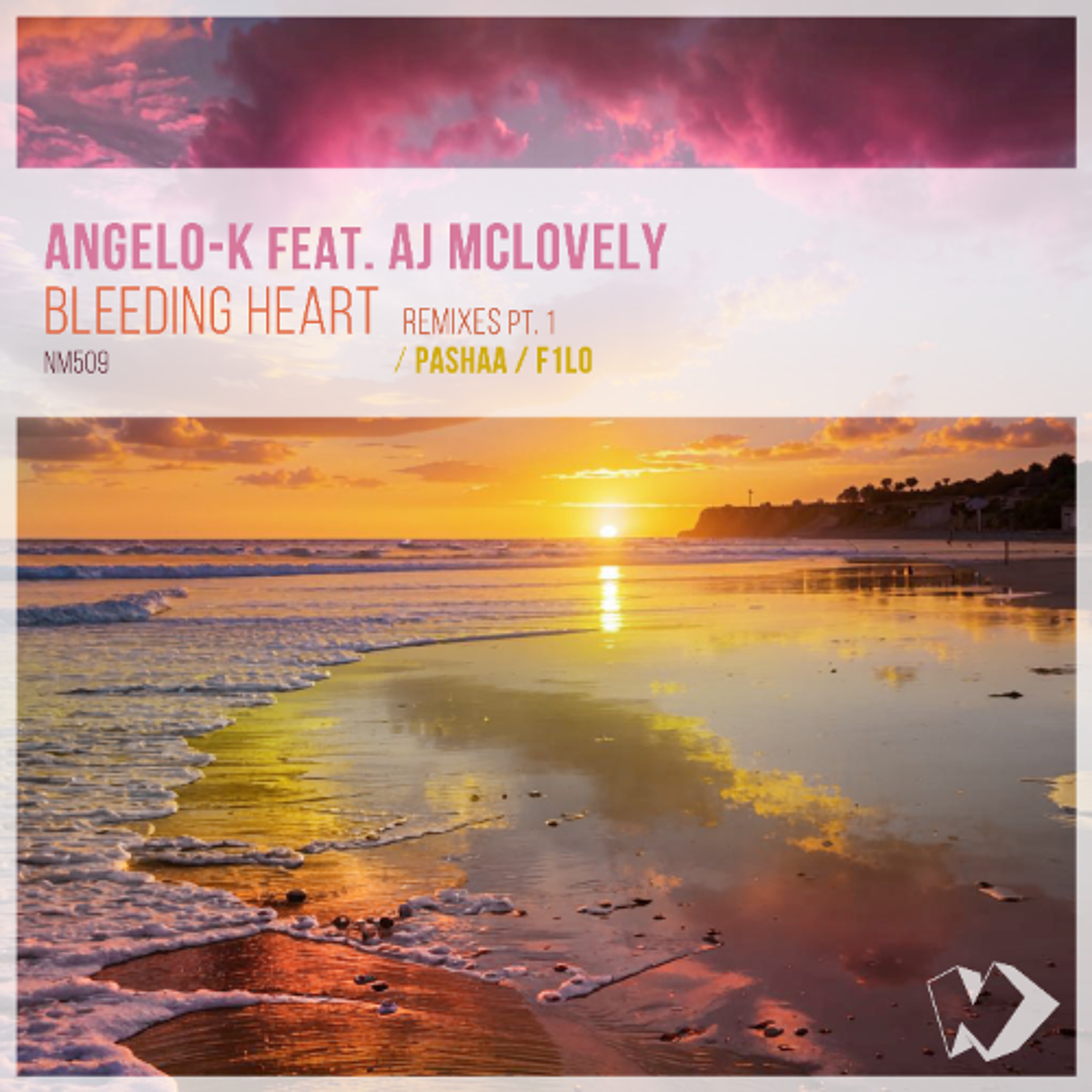 Angelo-K feat. AJ Mclovely - Bleeding Heart (Pashaa Remix) episode artwork