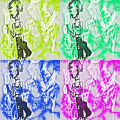 Pheromones (cover)
