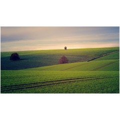 Audio sermon Sunday 26 Oct 2025