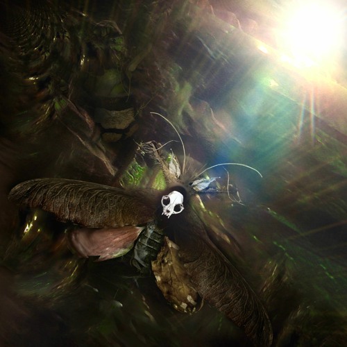Wishframe, Severus siew - Sonata : Never Die