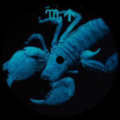 DENZEL CURRY - SKED (DJ Scorpio Rising Flip)