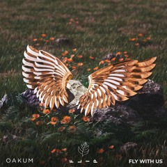AC Slater - Fly With Us (OAKUM FLIP)