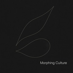 Morphing Culture