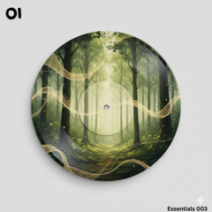 Bontan Feat. Surya Sen - Wile Out  ( Oi Edit  )