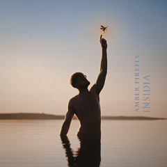 INSIDIA - Amber Firefly