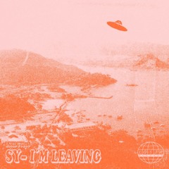 LSRDGTL06 - SY - I'm Leaving (Original Mix)