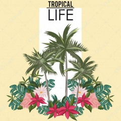 Tropical Life (OriginalMix)