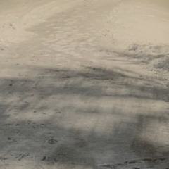 겨울