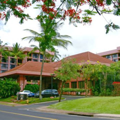 Best Things To Do In Kahana Maui Tours Reviews
