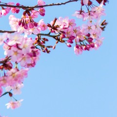 undertheafricansun 004 (damian yoko)