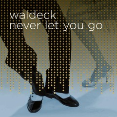 Never Let You Go (feat. Patrizia Ferrara)