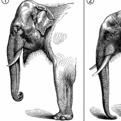 L'Éléphant qui n'a qu'une patte - Robert Desnos