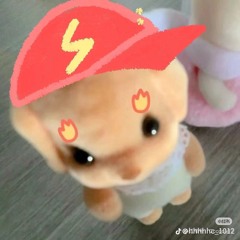 không phải nhạc đi bar