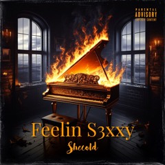 Feelin S3xxy (remastered)