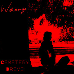 Cemetery Drive (My Chemical Romance cover)