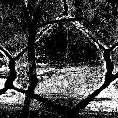Sealed Off (open collab offer)