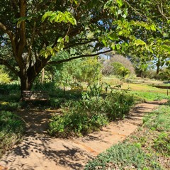 09.03.2022 - Cap. X - Bem Aventurados os Misericordiosos - O Sacrifício Mais Agradável a Deus (6)