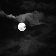 Stargazing Until Im Feeling Numb